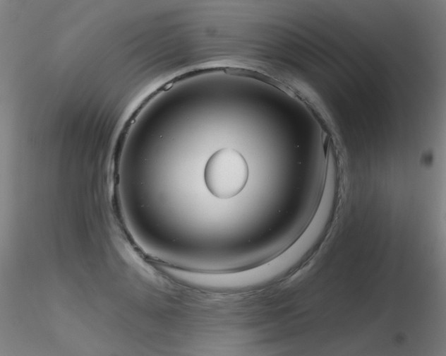 X0000116810892200912181342