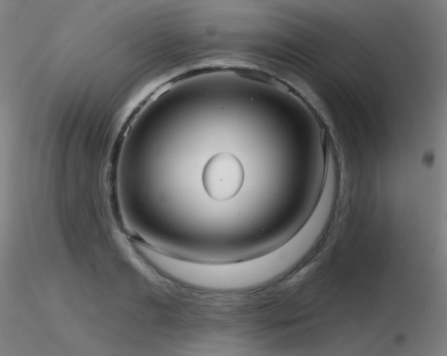 X0000116810893200912181342