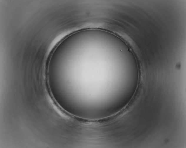 X0000116810894200912181342