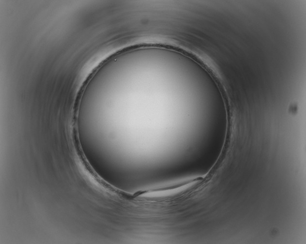 X0000116810895200912181342