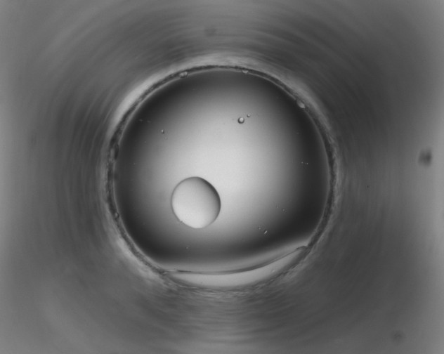 X0000116810896200912181342