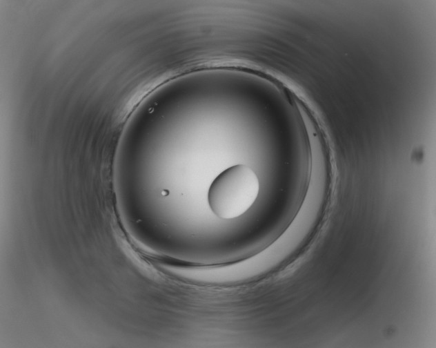 X0000116810897200912181342