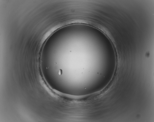 X0000116810898200912181342