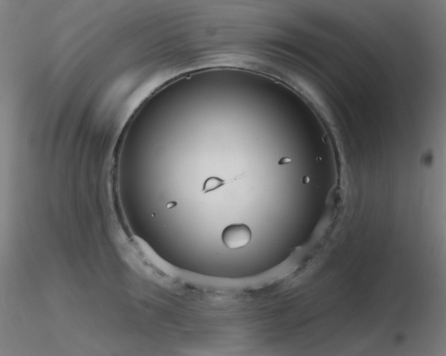X0000116810899200912181341