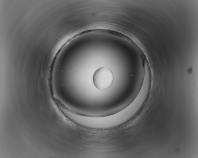 X0000116810901200912181341