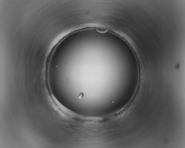 X0000116810902200912181341