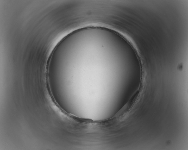 X0000116810903200912181341