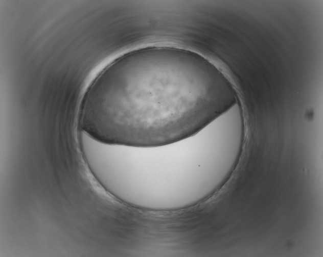X0000116810904200912181341