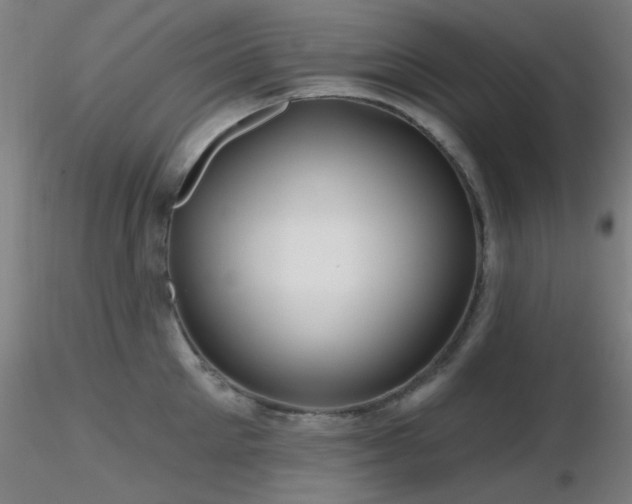 X0000116810905200912181341
