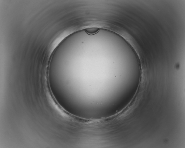 X0000116810906200912181341