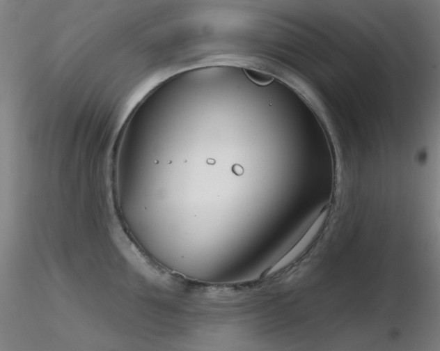 X0000116810907200912181341