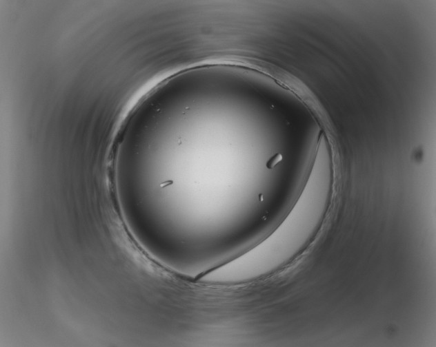 X0000116810908200912181341