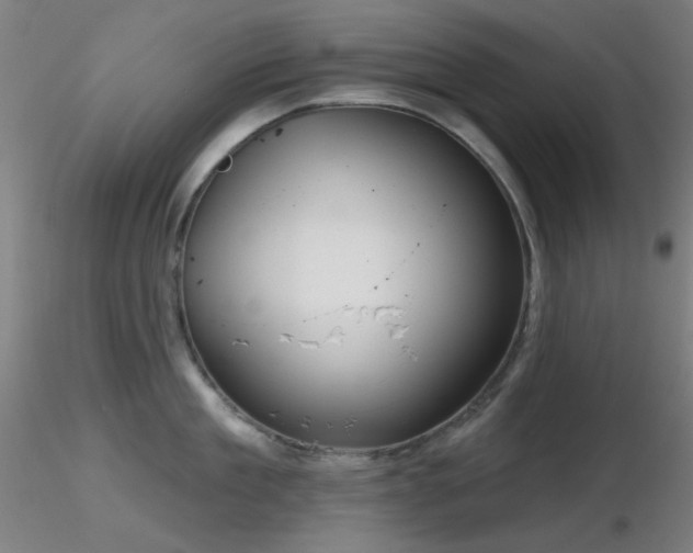 X0000116810909200912181341