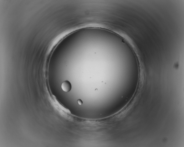 X0000116810910200912181341