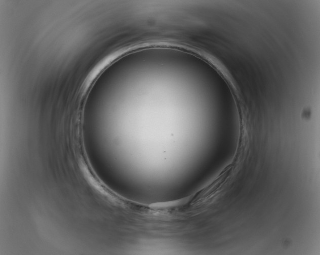 X0000116810911200912181341