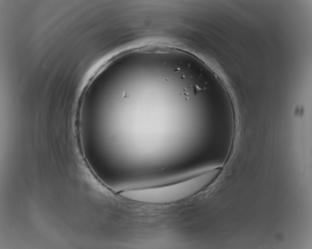 X0000116810912200912181341