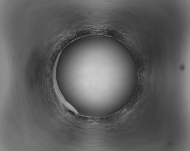 X0000116810913200912181341