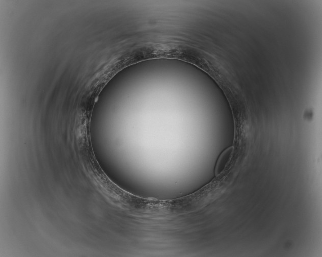 X0000116810914200912181341