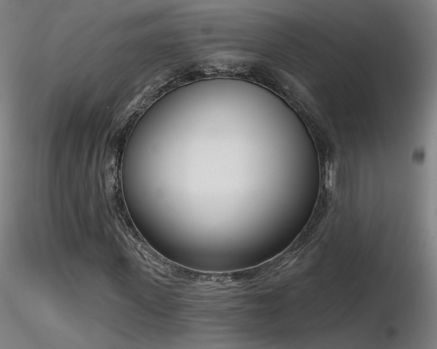 X0000116810915200912181341