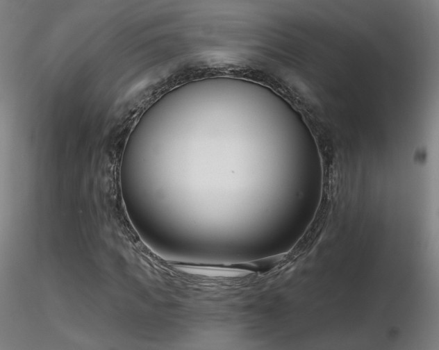 X0000116810917200912181341