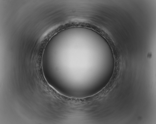 X0000116810919200912181341
