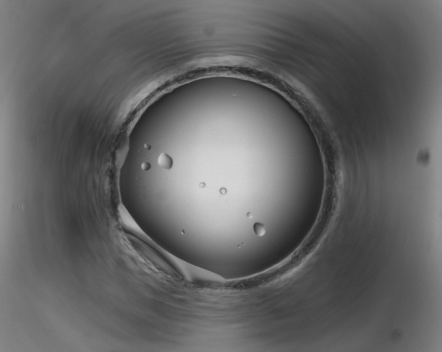 X0000116810921200912181341