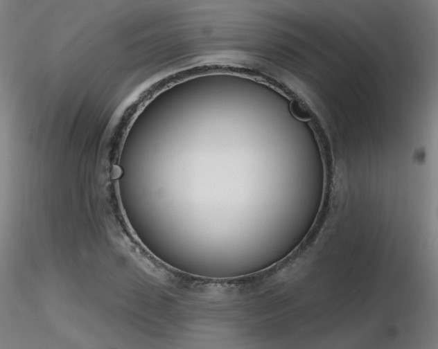 X0000116810923200912181341