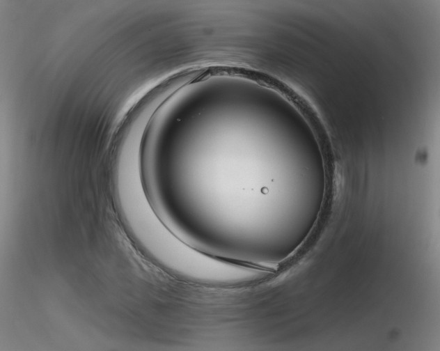 X0000116810925200912181341