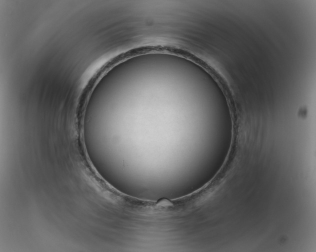 X0000116810927200912181341