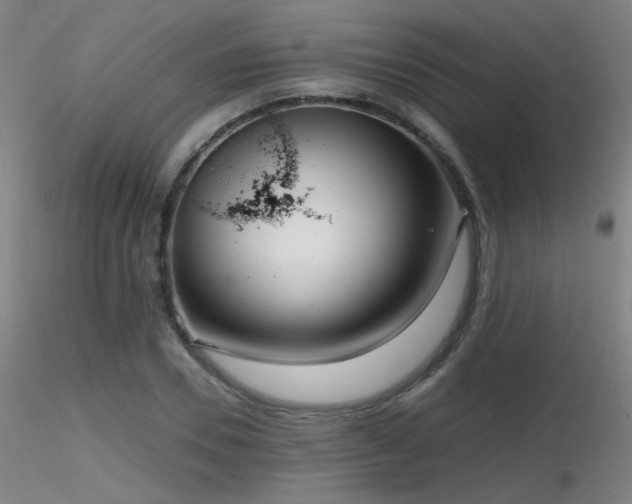 X0000116810930200912181341
