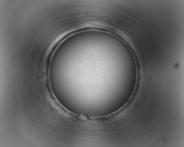X0000116810931200912181341