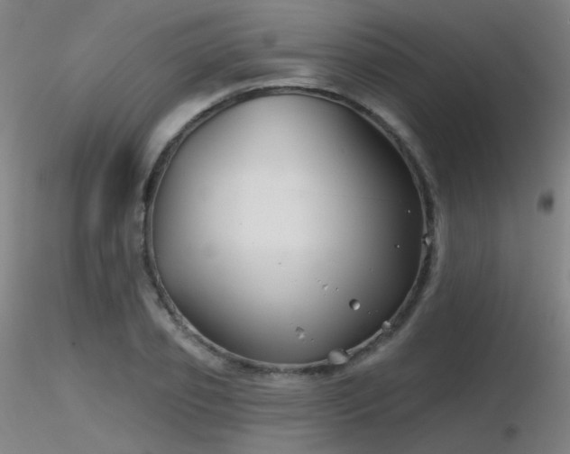 X0000116810933200912181341