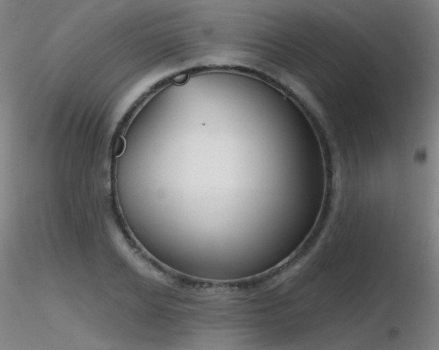 X0000116810934200912181341