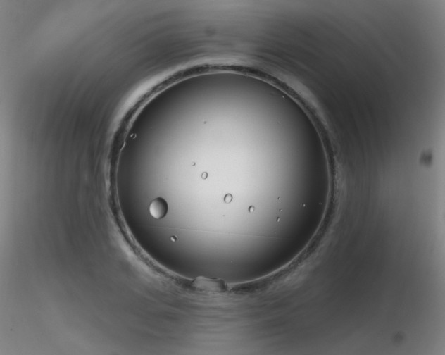 X0000116810935200912181341