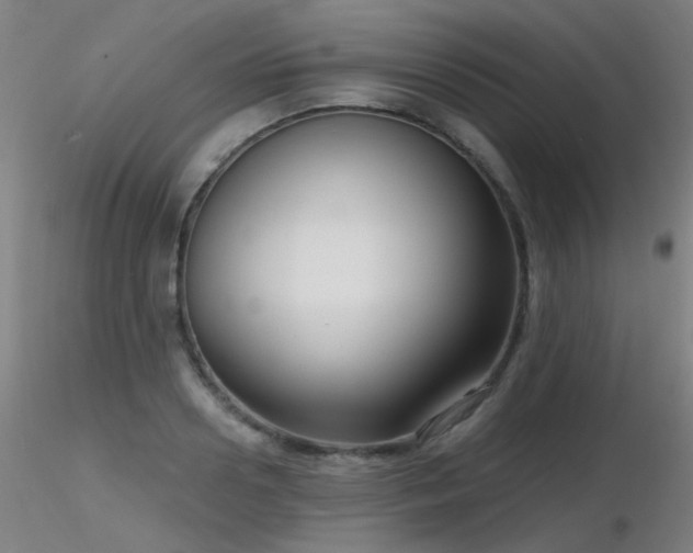 X0000116810938200912181341
