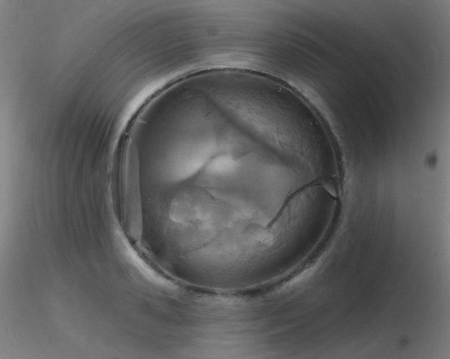 X0000116810941200912181341