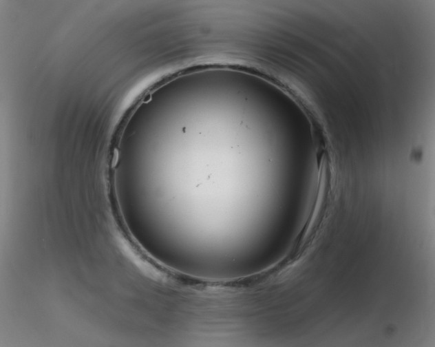X0000116810942200912181341
