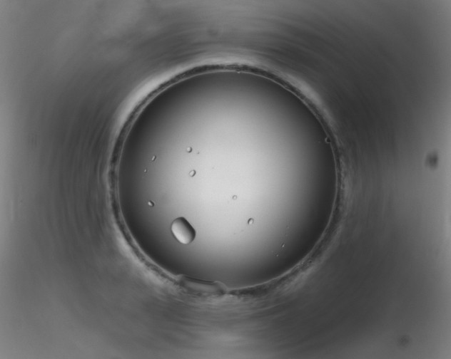 X0000116810943200912181341