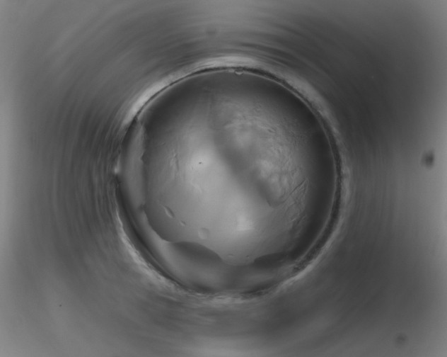 X0000116810945200912181341