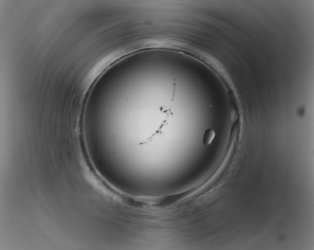 X0000116810946200912181341