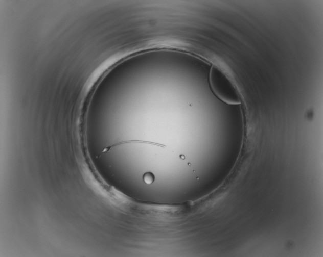 X0000116810947200912181341