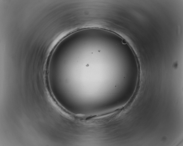 X0000116810949200912181341