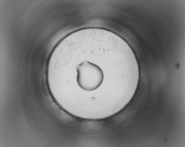 X0000116810950200912181341