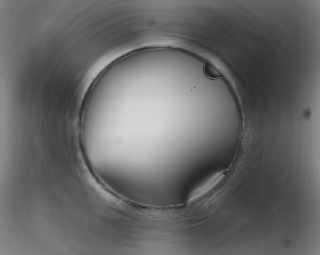 X0000116810951200912181341