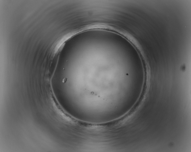 X0000116810953200912181341