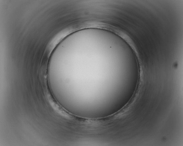 X0000116810954200912181341
