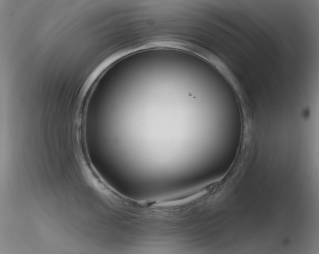 X0000116810955200912181341