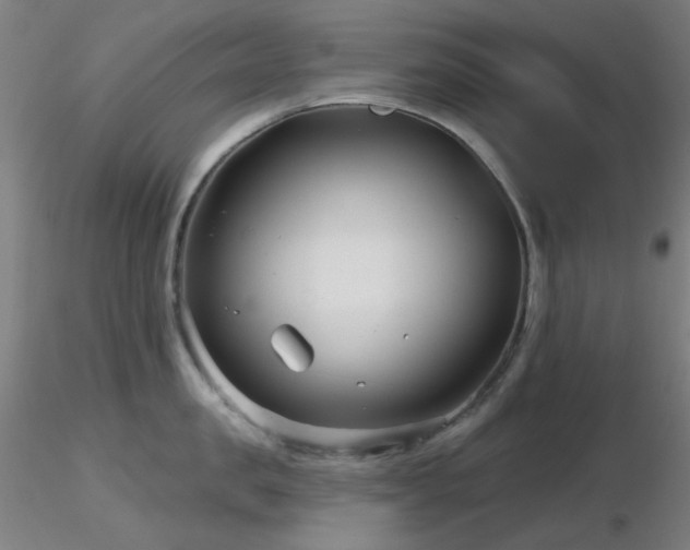 X0000116810957200912181341