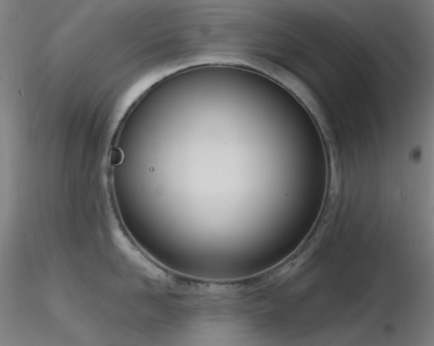 X0000116810958200912181341