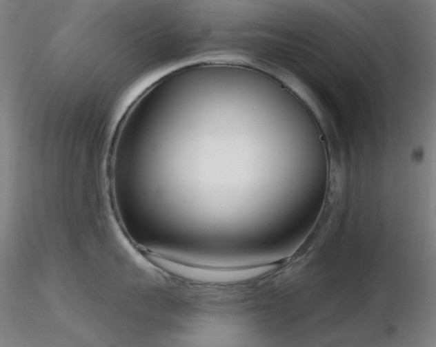 X0000116810959200912181341